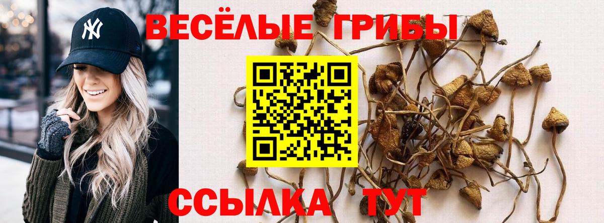 Галлюциногенные грибы MAGIC MUSHROOMS Сергиев Посад